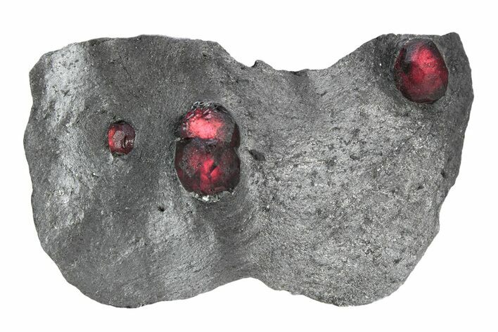 Plate of Four Red Embers Garnets in Graphite - Massachusetts #301111